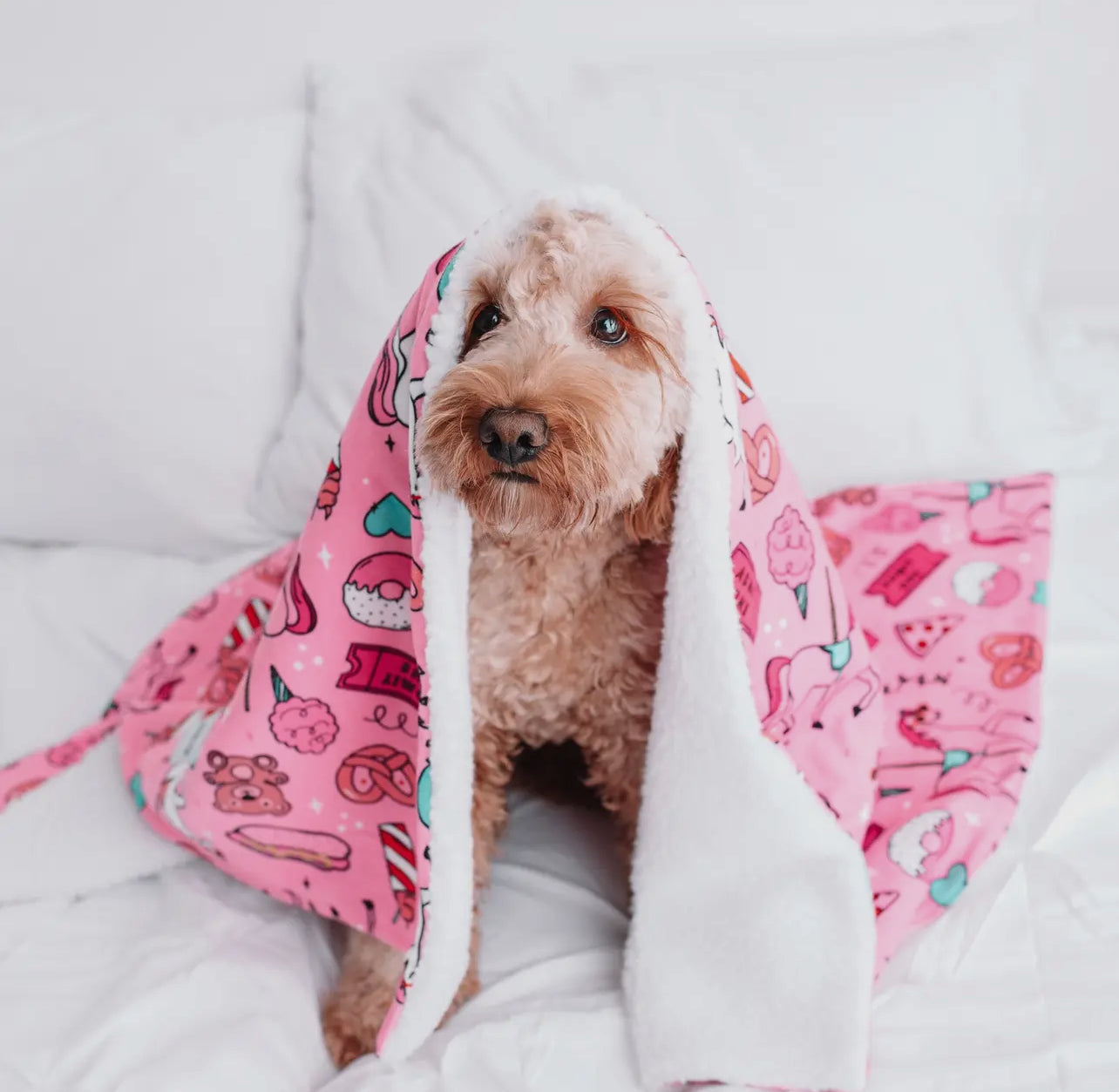 Carnival Pet Blanket