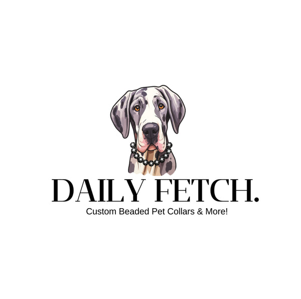 DAILY FETCH